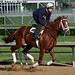 Sam Churchill Photo 8