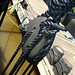 Elizabeth Pulley Photo 5