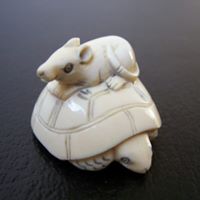 David Black Photo 14