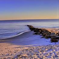 Julie Dickerson Photo 29