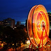 Christopher Ferris Photo 29
