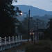 Dawn Cameron Photo 31
