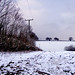 Dale Sprinkle Photo 15
