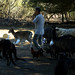 Paul Doolittle Photo 9