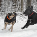 Cindy Snow Photo 19