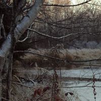 Lee Roy Photo 51