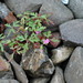 Robin Klein Photo 26