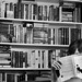 Kimberly Book Photo 12