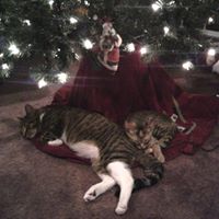 Kathleen Minnich Photo 13