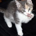 Mona Foster Photo 27