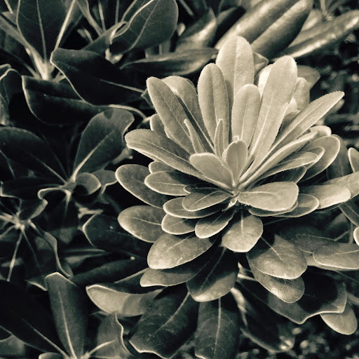 Philip Hagen Photo 20