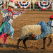 Steven Mutton Photo 13
