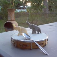Patricia Tuttle Photo 16