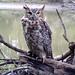 Kevin Nester Photo 14