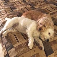 Susan Mcknight Photo 26