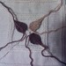 Rose Garrity Photo 6