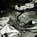 Don Hunter Photo 2