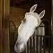 Vickie Murphy Photo 8