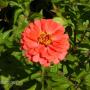 Linda Culp Photo 25