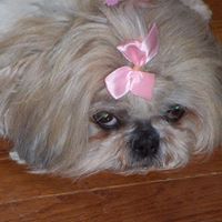 Nancy Propst Photo 19