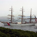 Elizabeth Cutter Photo 13