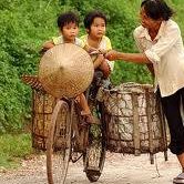 Thang Dinh Photo 12