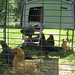 Cherie Lewis Photo 9