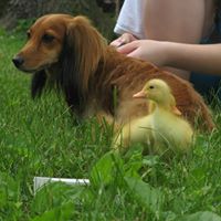 Susan Ruggles Photo 14