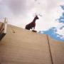Curtis Cates Photo 23