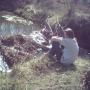 William Callahan Photo 45