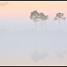 Dawn Patterson Photo 14