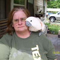 Debbie Beard Photo 25