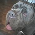 Susan Fiedler Photo 7