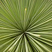 Lance Sharp Photo 31