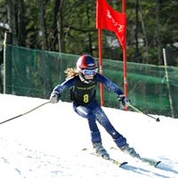 Cindy Carroll Photo 22