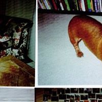 Jeffrey Weiner Photo 22
