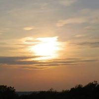 Shawn Layton Photo 6