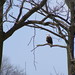 Catherine Eagles Photo 8