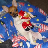 Connie Ames Photo 31