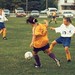 Tammy Perry Photo 5
