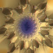 Julia Flowers Photo 10