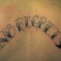 Brandon Beebe Photo 16
