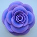 Rose Skinner Photo 36