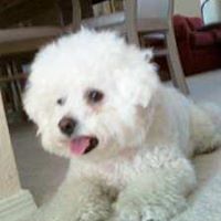 Jill Coons Photo 5