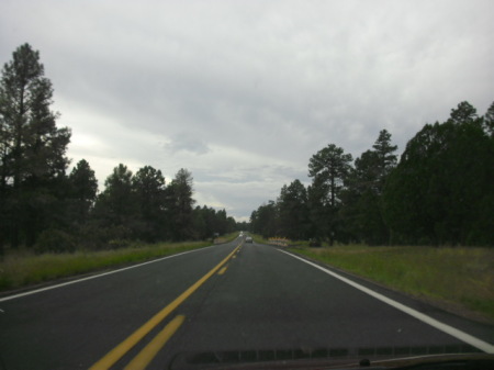 Belinda Castillo Photo 9