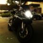 Stephen Reyes Photo 21