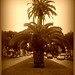 Dolores Jones Photo 36