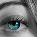 Donna Lash Photo 8