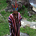 Juan Salazar Photo 37