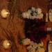Lisa Hebert Photo 19